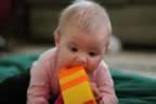 IMG_6491.jpg (55kb)