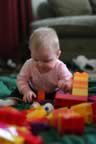 IMG_6493.jpg (72kb)