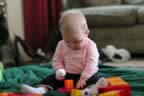 IMG_6498.jpg (80kb)