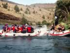 rafting2005_16.jpg (117kb)