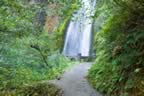 Wahkeena Falls (275kb)