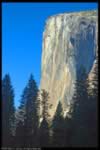 Yosemite Valley and Bodie