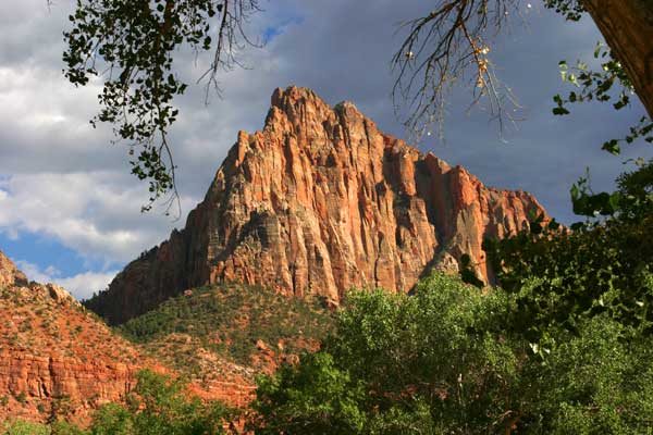 Framing in Zion National Park